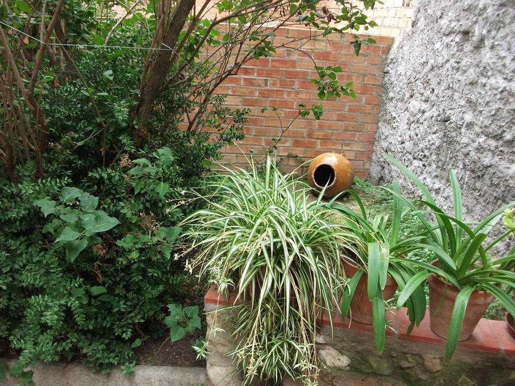 Ca La Paula Vila Pla del Panadés Exterior foto